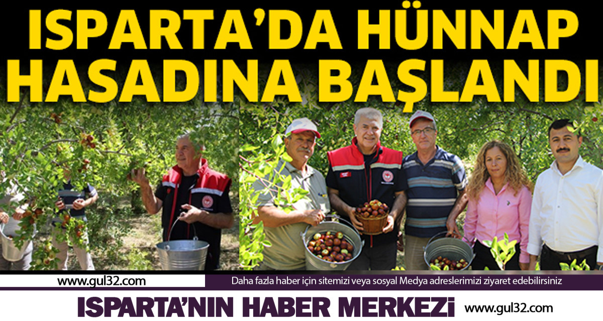 Isparta'da hünnap hasadı başladı